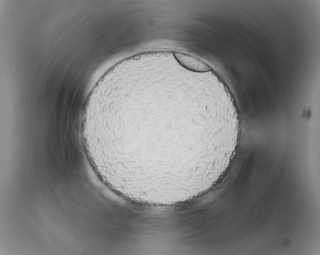 X0000112731390200910011146