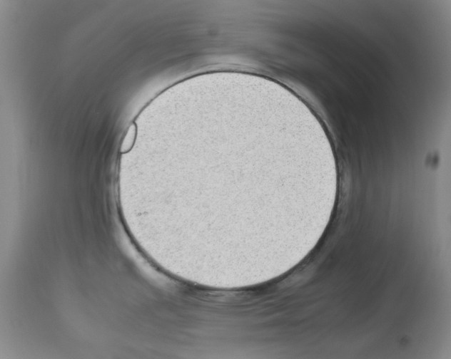 X0000112731391200910011146