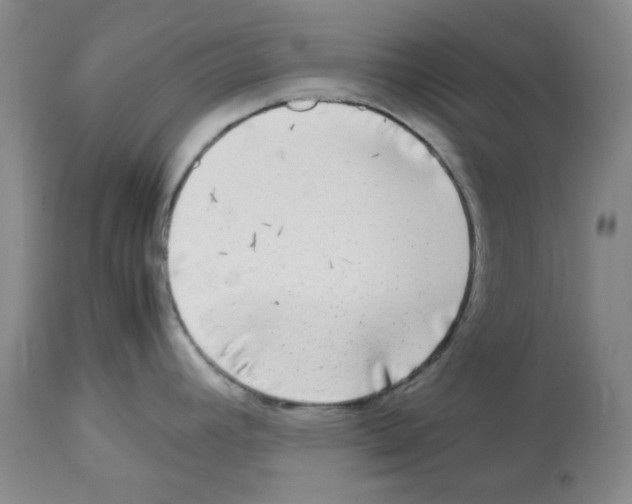 X0000112731392200910011146