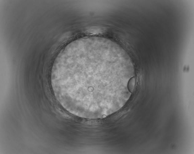 X0000112731393200910011145