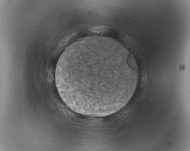 X0000112731394200910011145