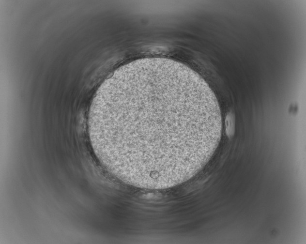X0000112731395200910011145