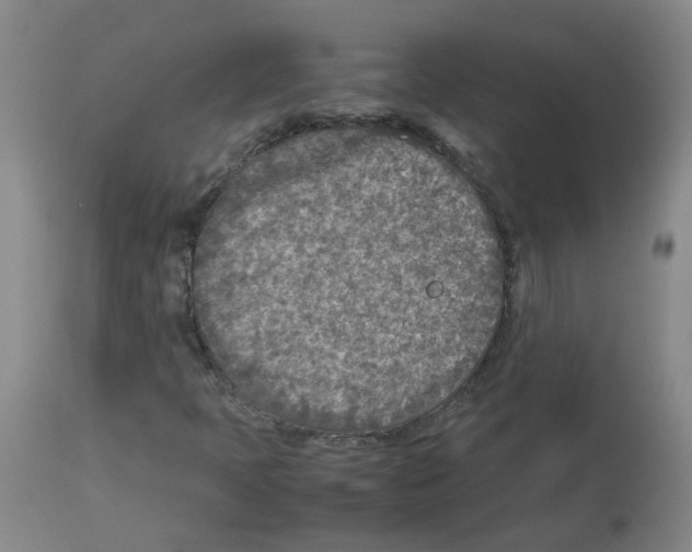 X0000112731397200910011145