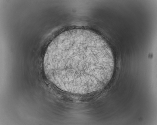 X0000112731398200910011145