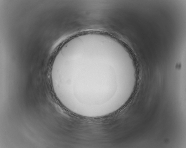 X0000112731400200910011145