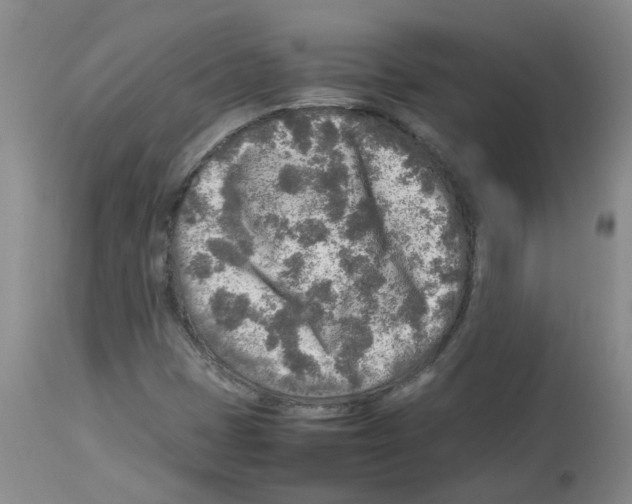 X0000112731401200910011145