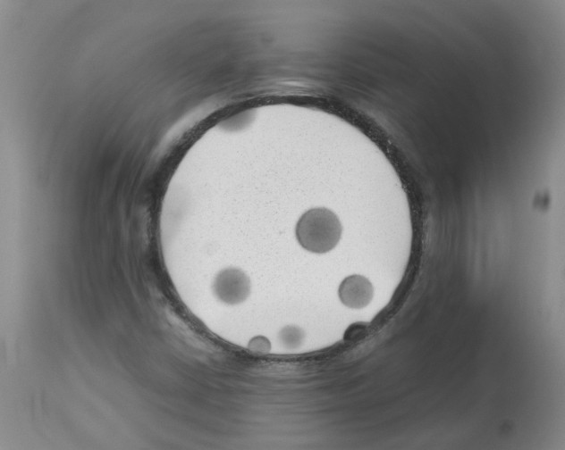 X0000112731402200910011145