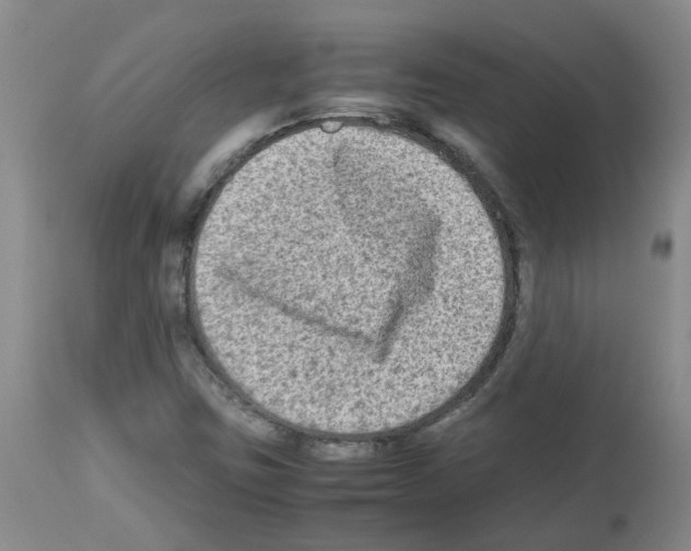 X0000112731403200910011145