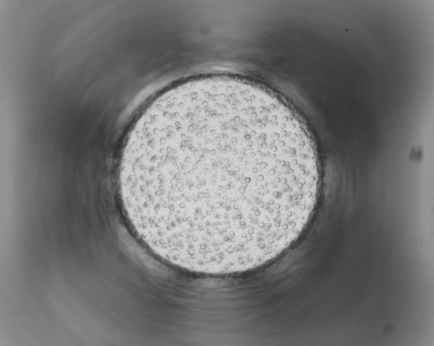 X0000112731404200910011145