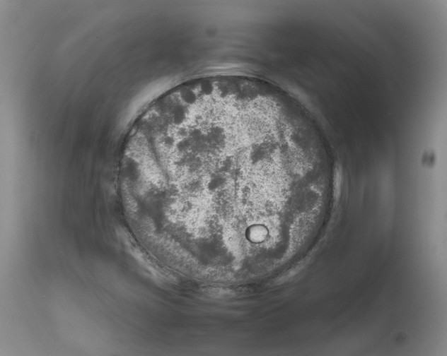 X0000112731405200910011145
