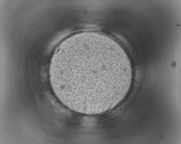 X0000112731407200910011145