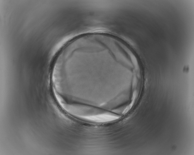 X0000112731414200910011145
