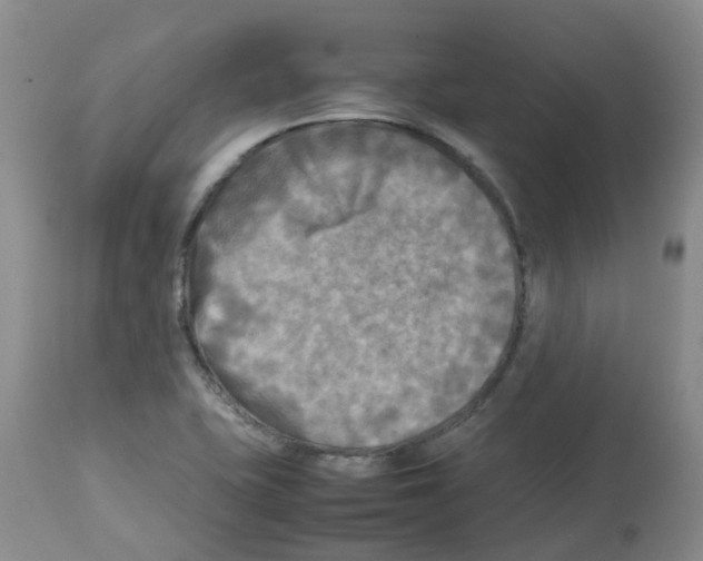X0000112731415200910011145