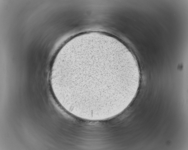 X0000112731416200910011145