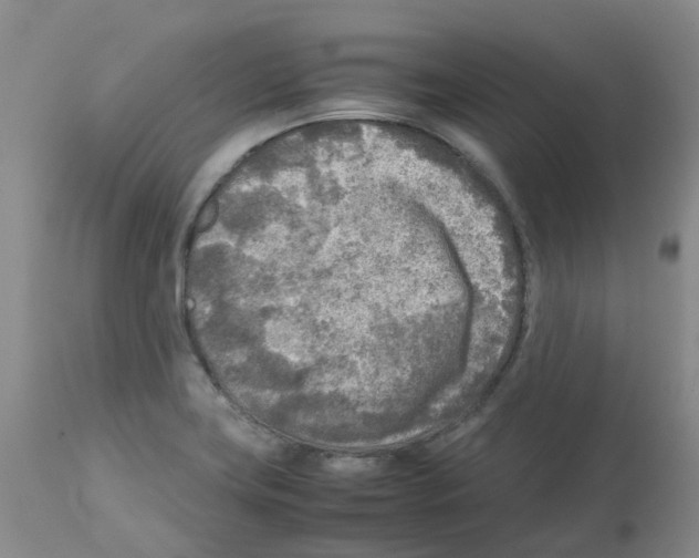 X0000112731419200910011145