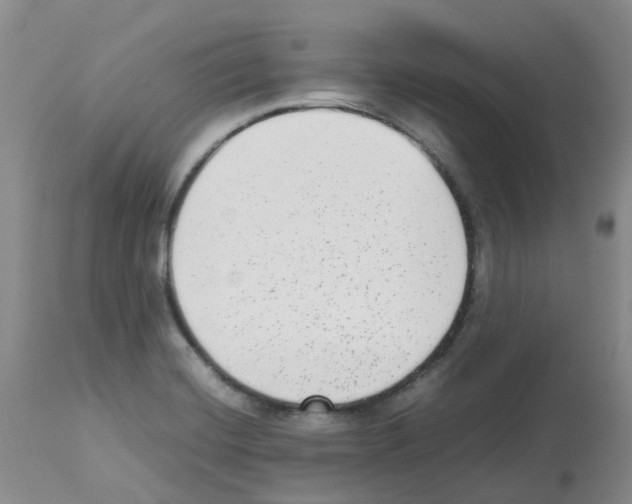 X0000112731420200910011145