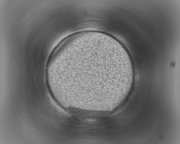 X0000112731423200910011146