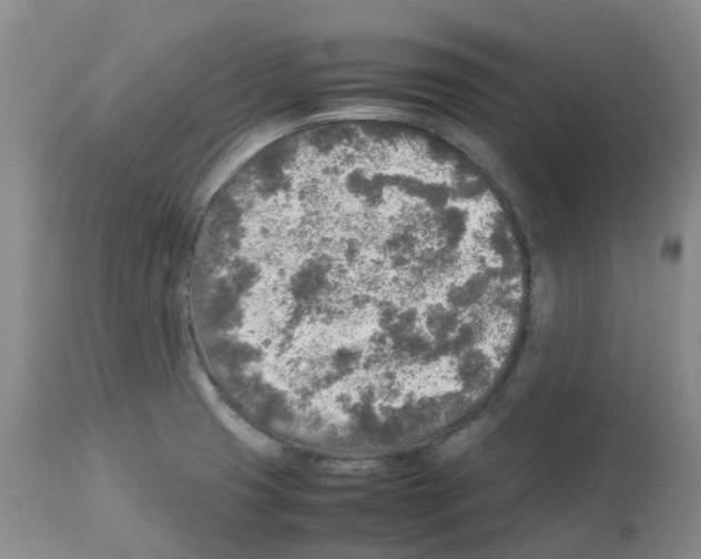 X0000112731425200910011146