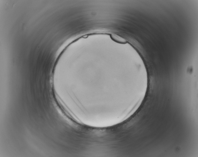 X0000112731428200910011146