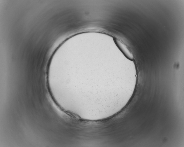 X0000112731430200910011146