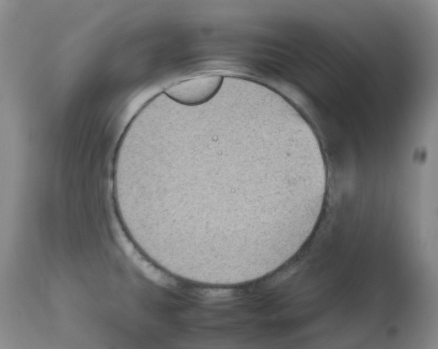 X0000112731431200910011146