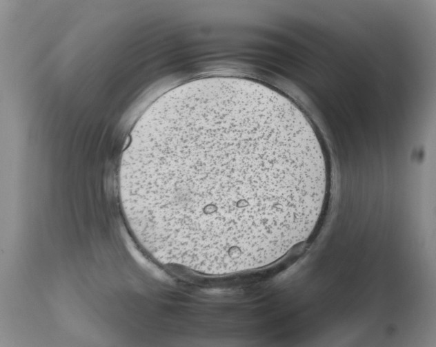 X0000112731433200910011146