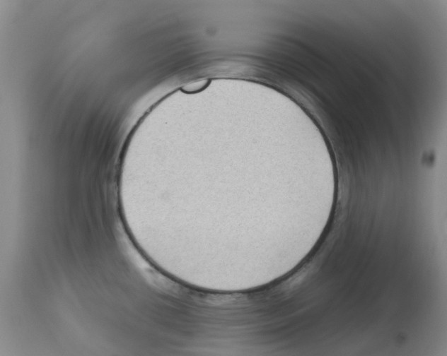 X0000112731434200910011146