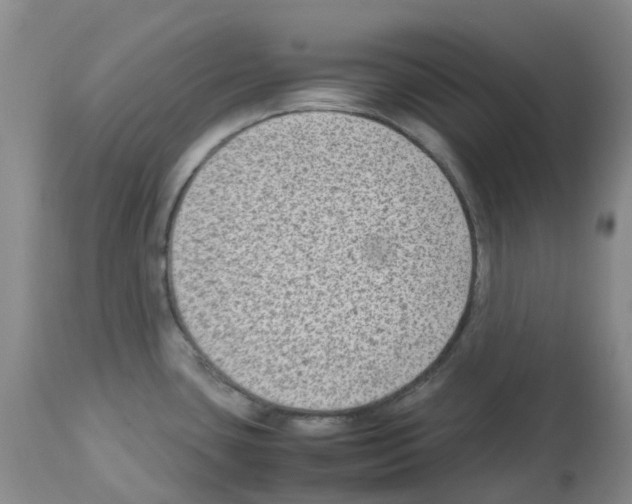 X0000112731435200910011146