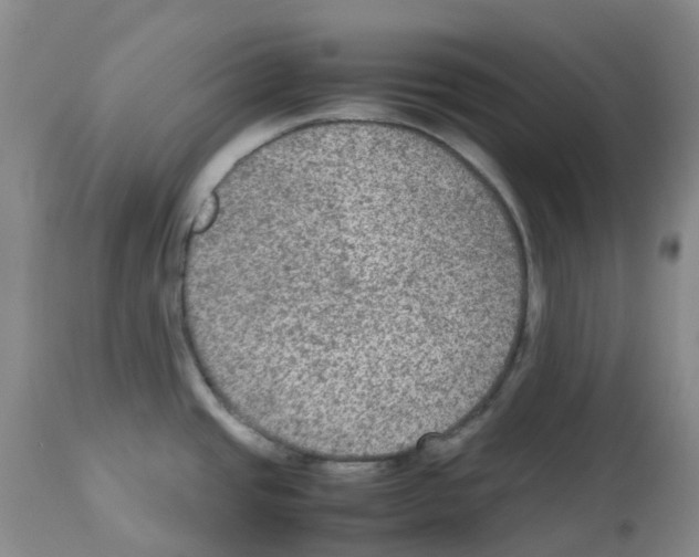 X0000112731437200910011146