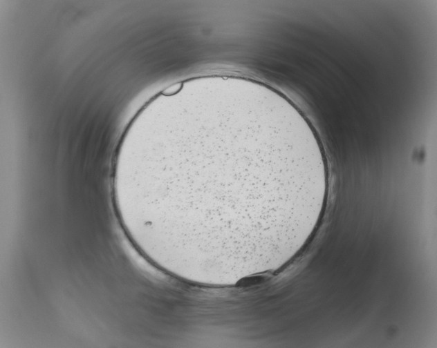 X0000112731438200910011146
