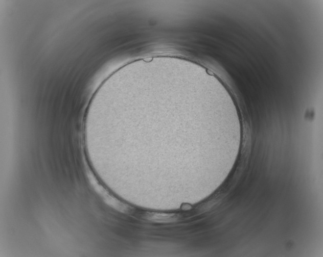 X0000112731439200910011146