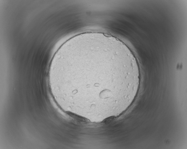 X0000112731440200910011146