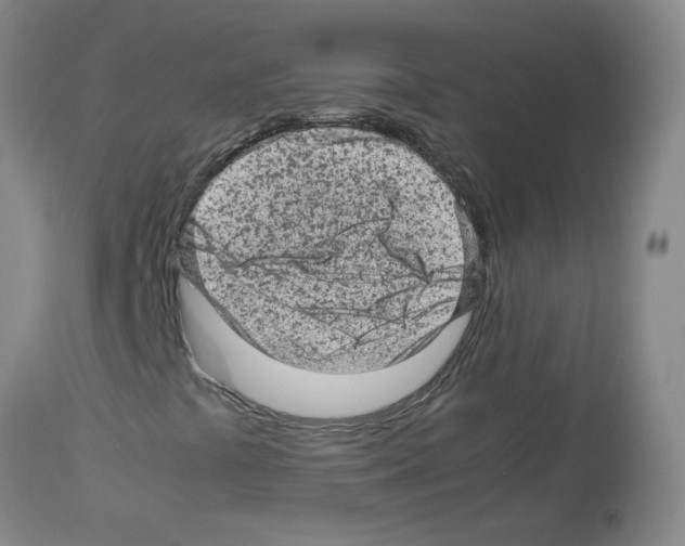 X0000112731441200910011145