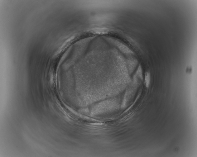 X0000112731444200910011145