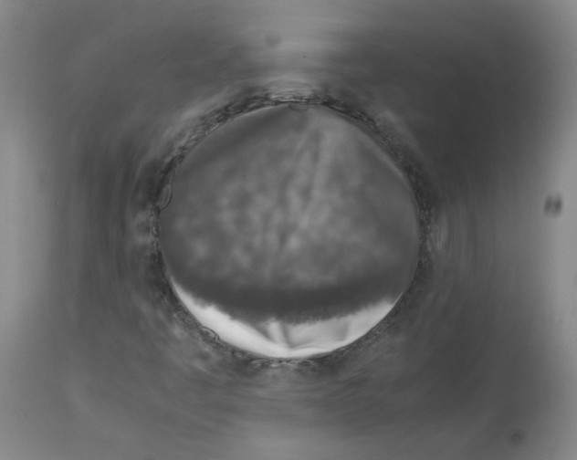 X0000112731445200910011145