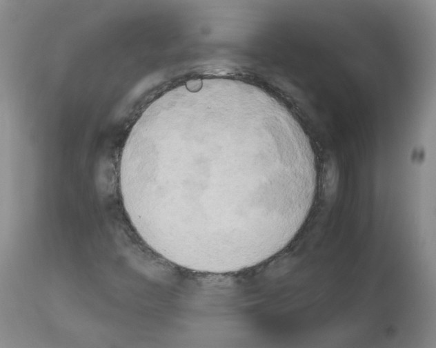 X0000112731446200910011145
