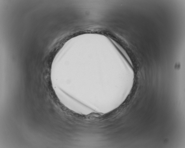 X0000112731447200910011145