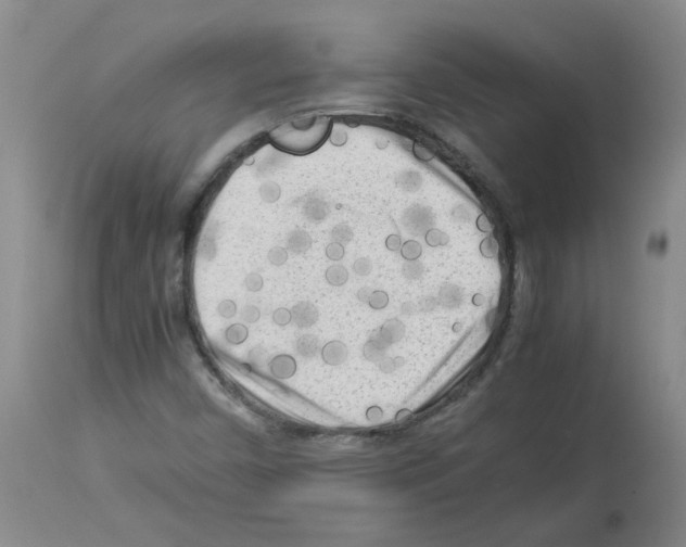 X0000112731450200910011145
