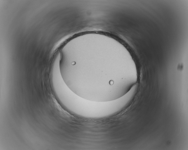 X0000112731452200910011145