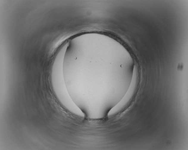 X0000112731453200910011145