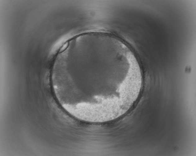X0000112731455200910011145