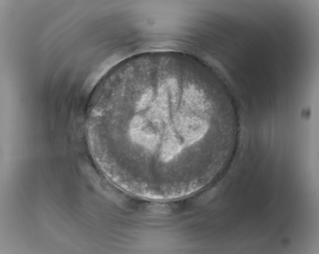 X0000112731457200910011145
