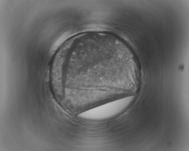 X0000112731459200910011145