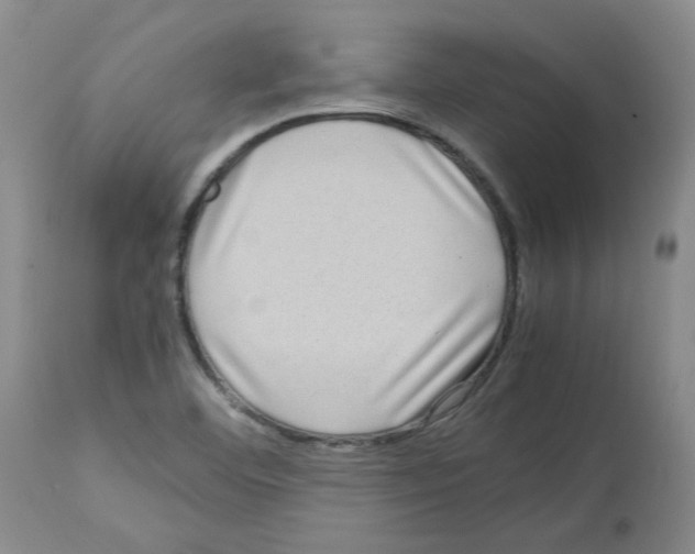 X0000112731460200910011145