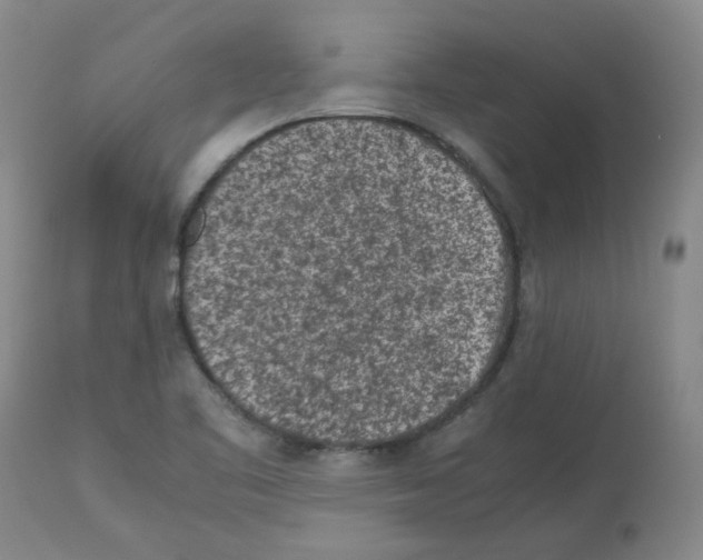X0000112731461200910011145