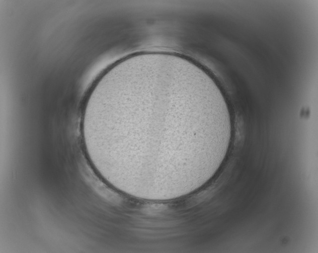 X0000112731462200910011145
