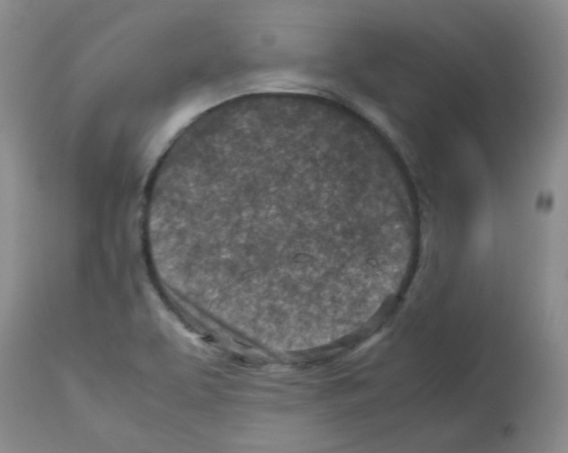 X0000112731463200910011145