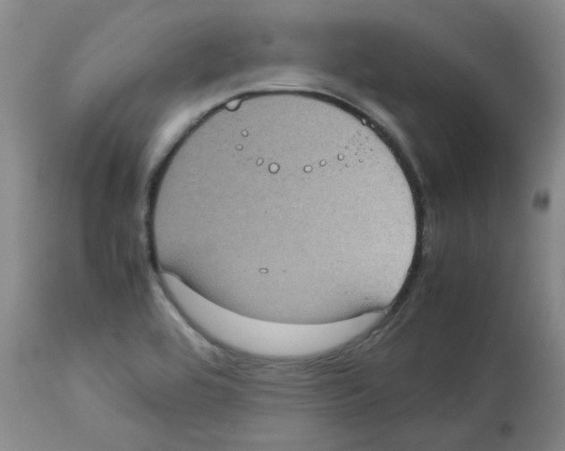X0000112731464200910011145