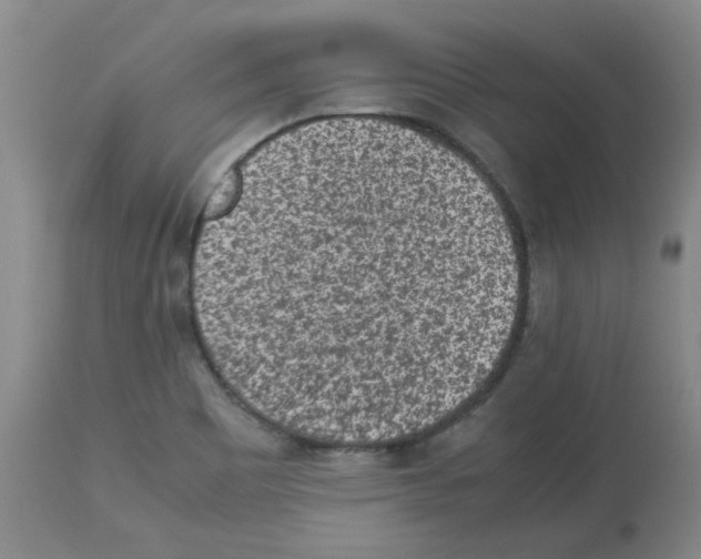 X0000112731465200910011145