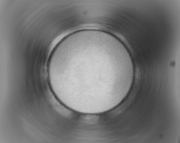 X0000112731466200910011145